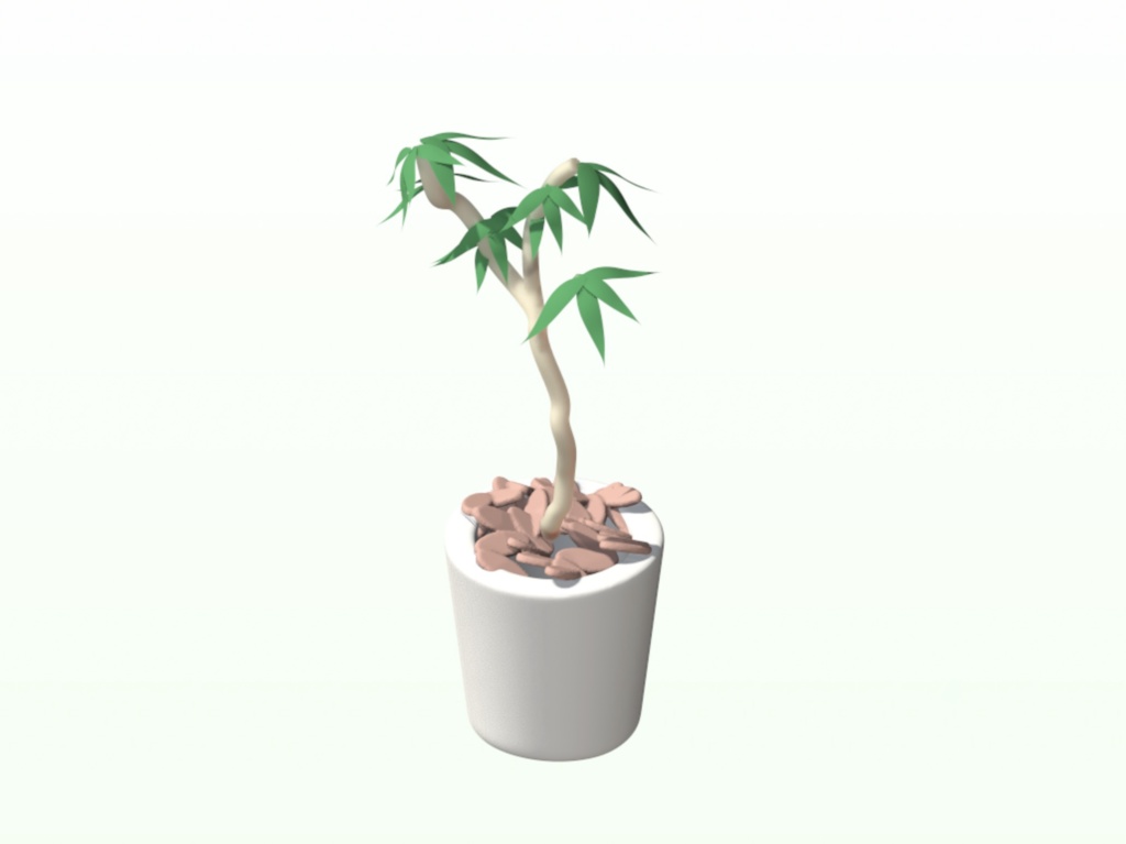 Schefflera angustifolia