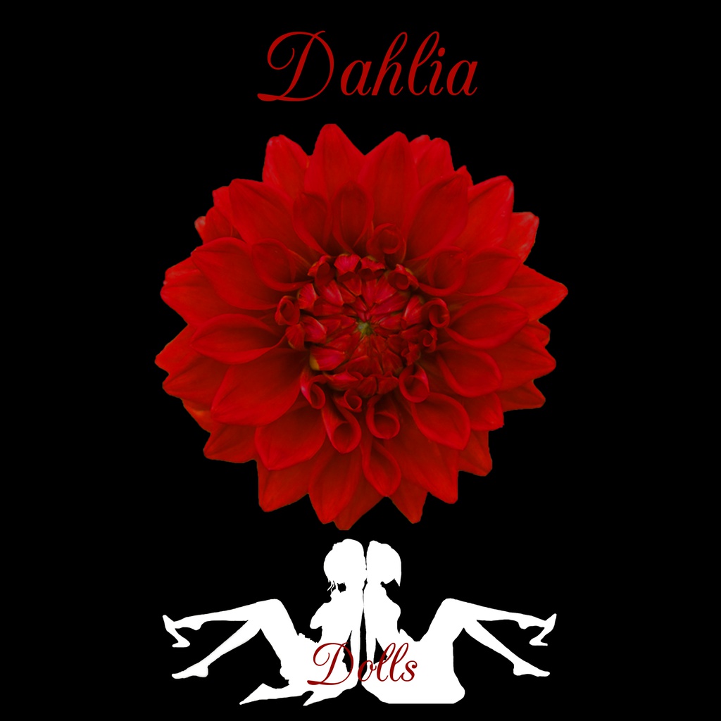 Dahlia / Dolls