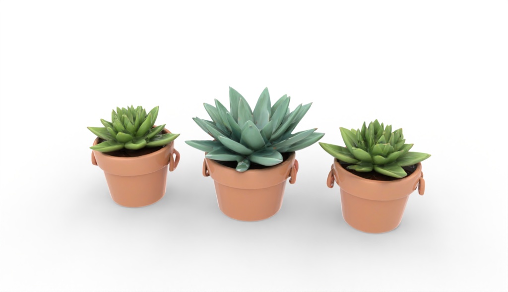 【3Dアセット】インテリアプランツ 多肉植物 4種セット Vol.1