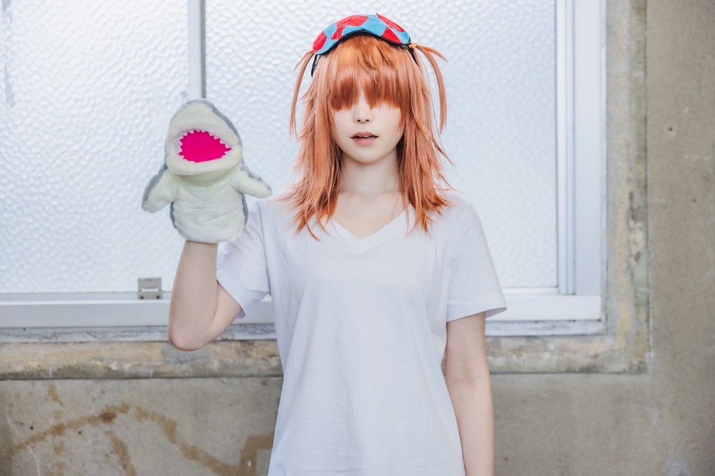 デッドマウント・デスプレイ 写真集 Here