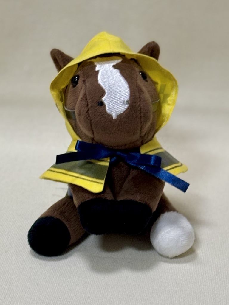 アイドルホースSサイズ　フード付きケープ