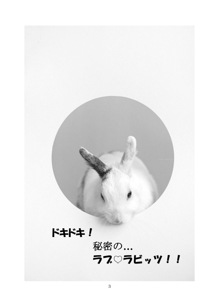 ドキドキ!秘密のラブラビッツ!!