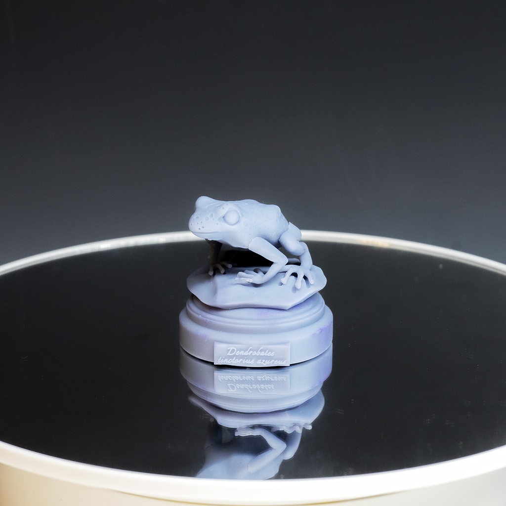 ガレージキット『コバルトヤドクガエル』3Dプリントキット