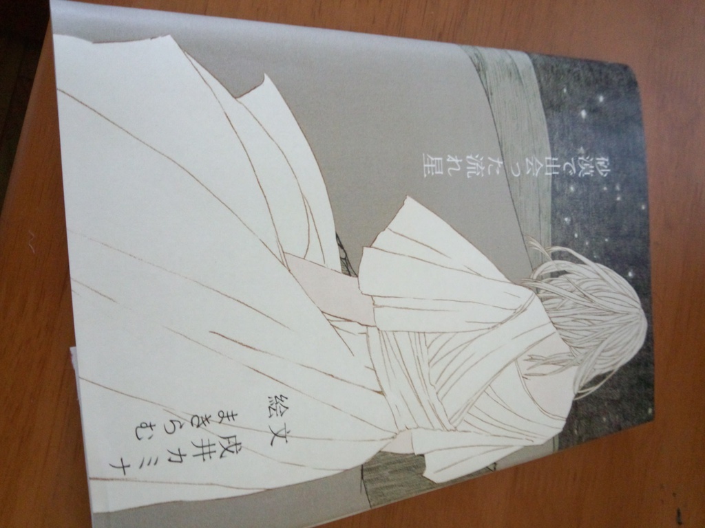 砂漠で出会った流れ星