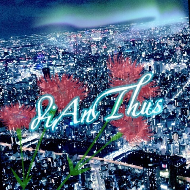 Dianthus/Twinkle Twinkle night!