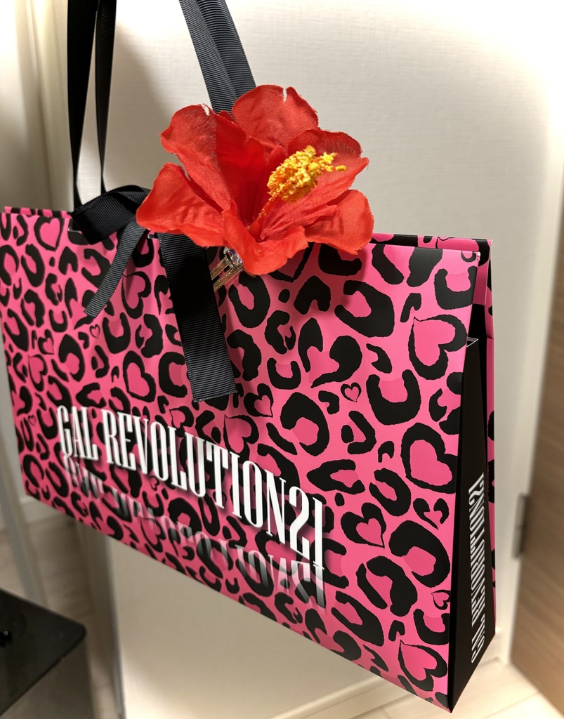 【豪華版】GAL REVOLUTION 21