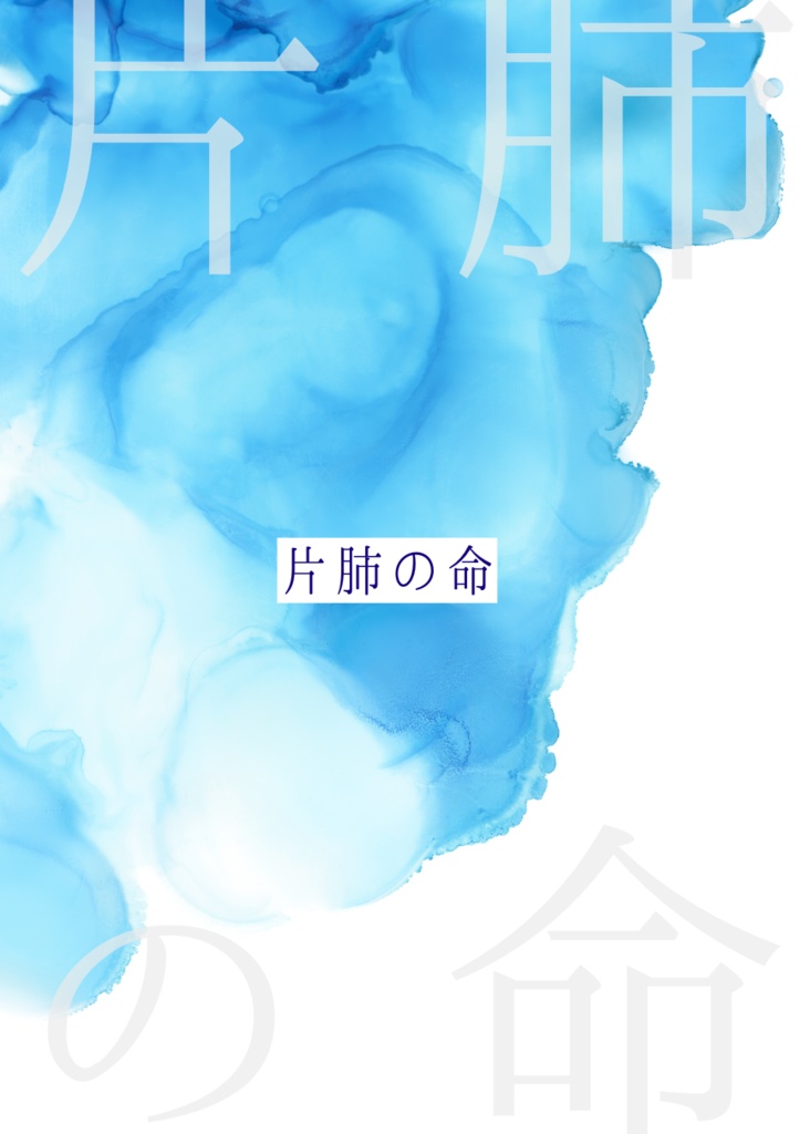 片肺の命（時透兄弟小説）