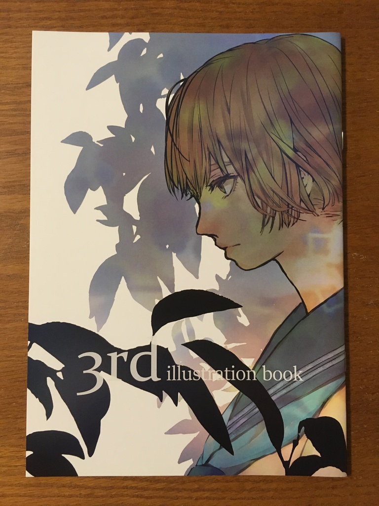3rd illustration book