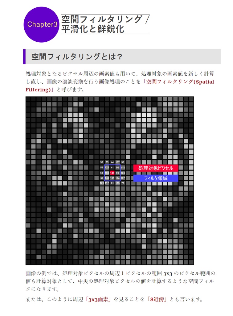 Substance 3D Designer Pixel Processor テクニカル本