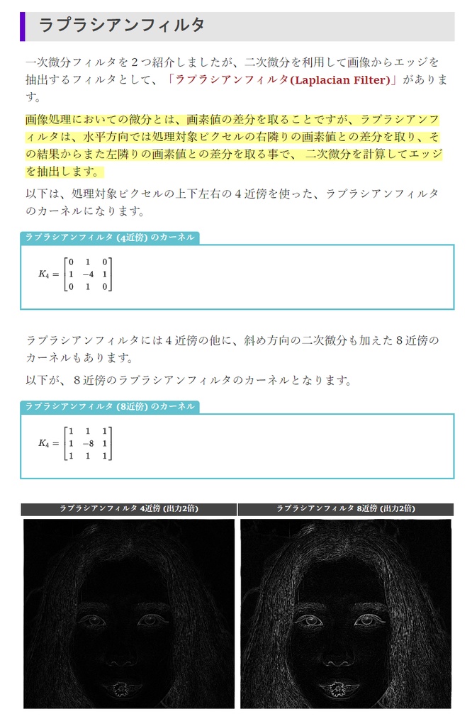 Substance 3D Designer Pixel Processor テクニカル本