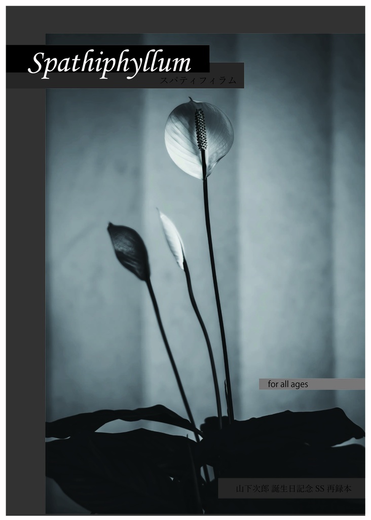 Spathiphyllum-スパティフィラム-