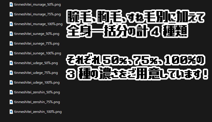 Zev/ゼヴ&珍飯亭共通ボディ ボディヘアテクスチャセット《腕毛、胸毛、すね毛、無精髭》