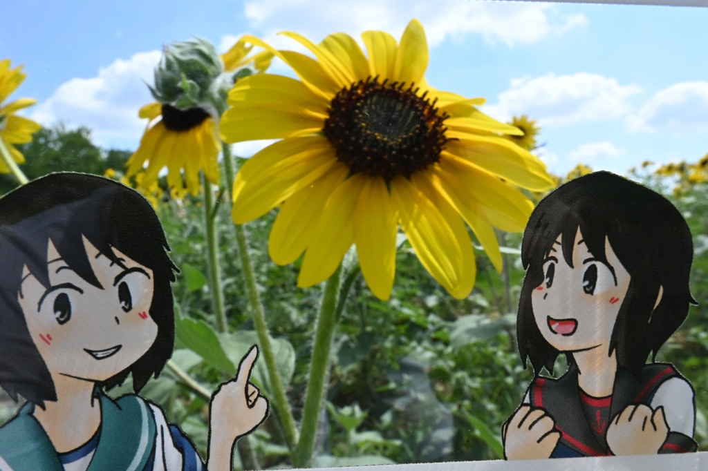 深雪さまズフレームアクキー