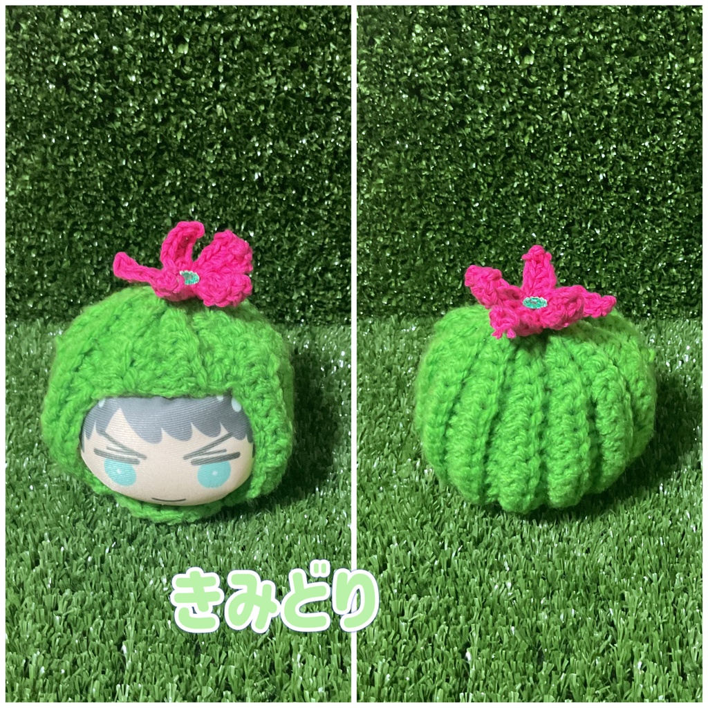 おまんじゅう用 サボテン