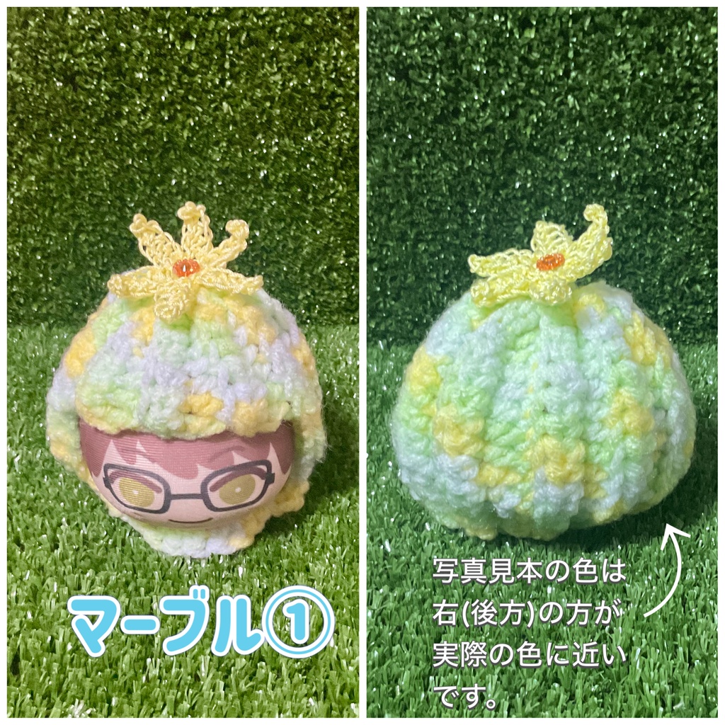 おまんじゅう用 サボテン