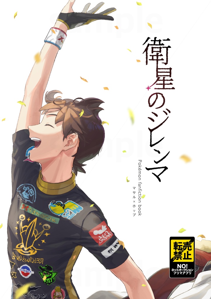 衛星のジレンマ