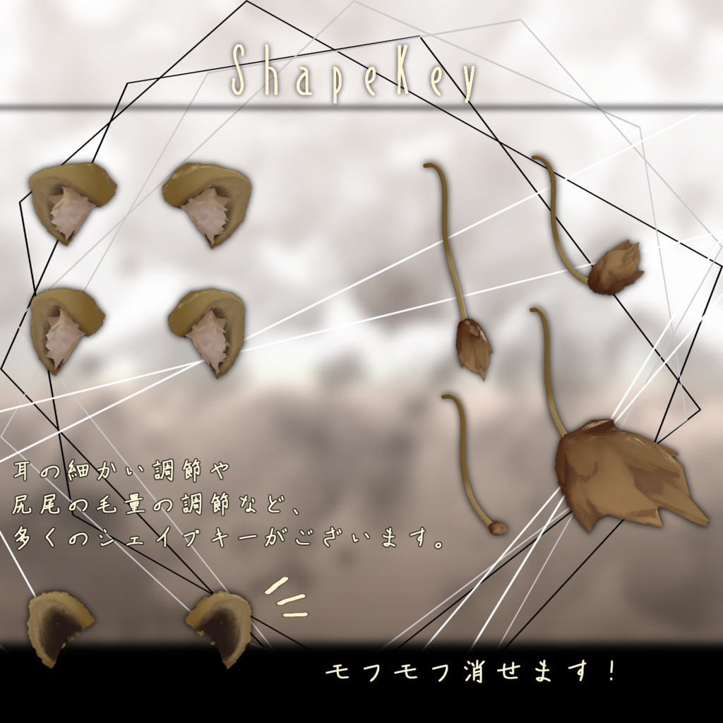 Lion set-*ライオンセット*-【SALE】