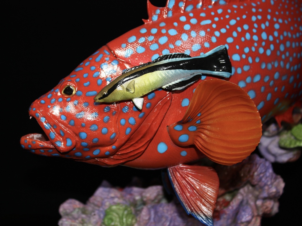 ユカタハタ フィギュア 魚寸30cm 【第10回日本彫刻コンクール入選作品】