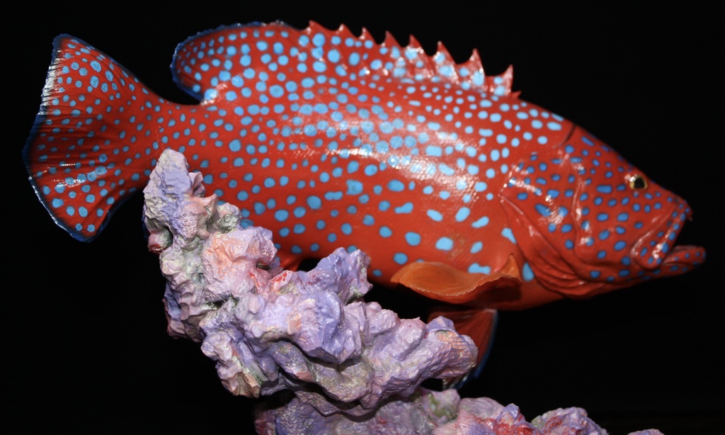 ユカタハタ フィギュア 魚寸30cm 【第10回日本彫刻コンクール入選作品】