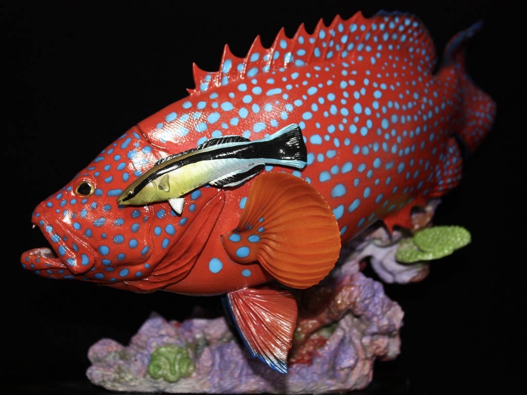 ユカタハタ フィギュア 魚寸30cm 【第10回日本彫刻コンクール入選作品】