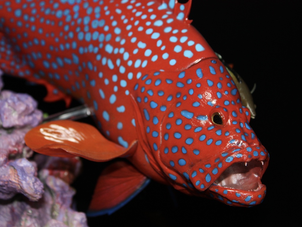 ユカタハタ フィギュア 魚寸30cm 【第10回日本彫刻コンクール入選作品】