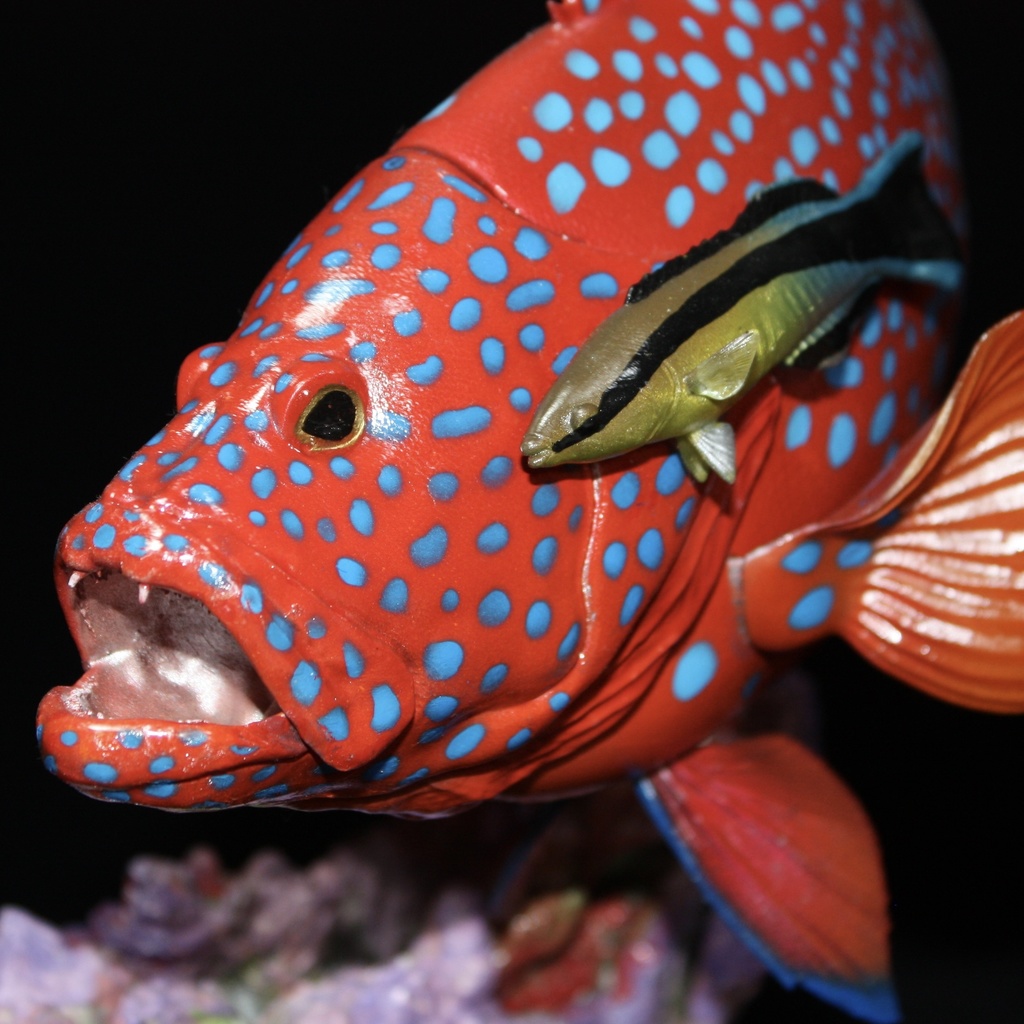 ユカタハタ フィギュア 魚寸30cm 【第10回日本彫刻コンクール入選作品】