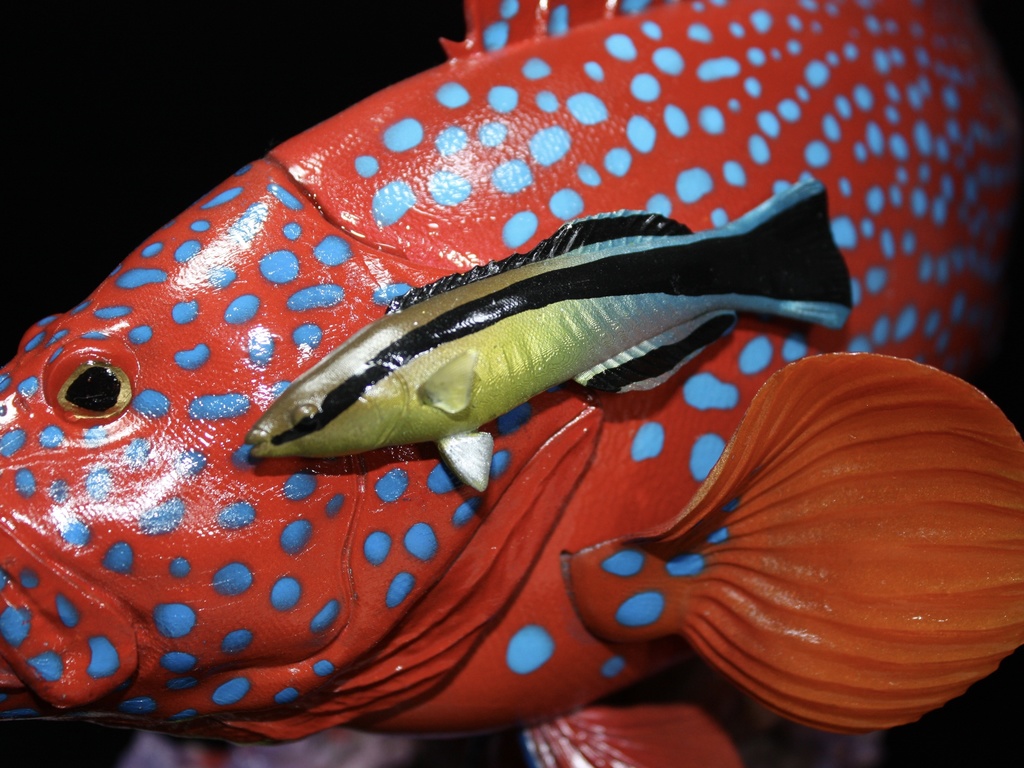 ユカタハタ フィギュア 魚寸30cm 【第10回日本彫刻コンクール入選作品】