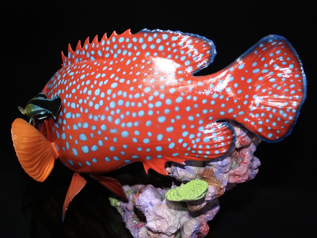 ユカタハタ フィギュア 魚寸30cm 【第10回日本彫刻コンクール入選作品】