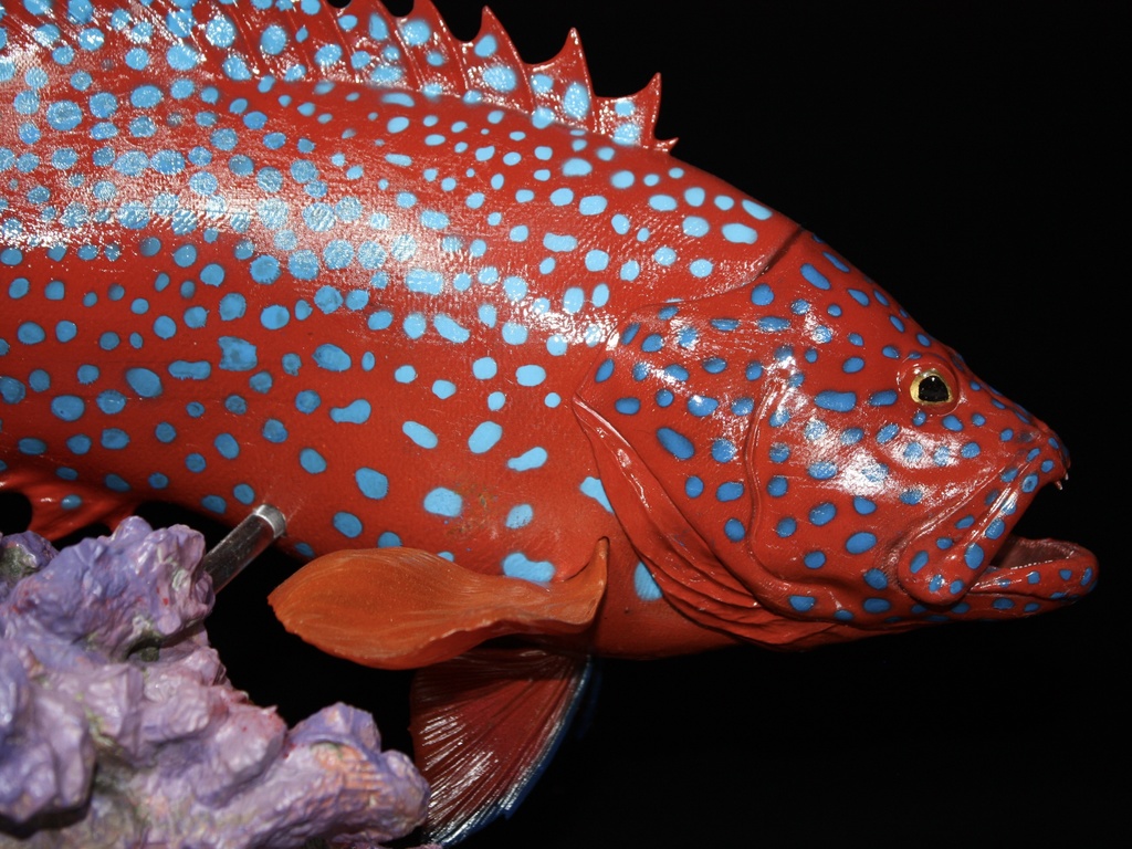 ユカタハタ フィギュア 魚寸30cm 【第10回日本彫刻コンクール入選作品】