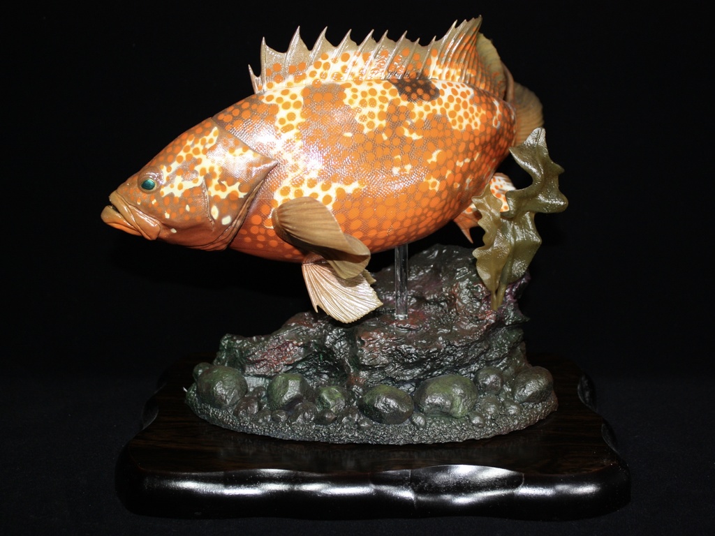 キジハタ フィギュア 魚寸30cm 【第10回日本彫刻コンクール入選作品】