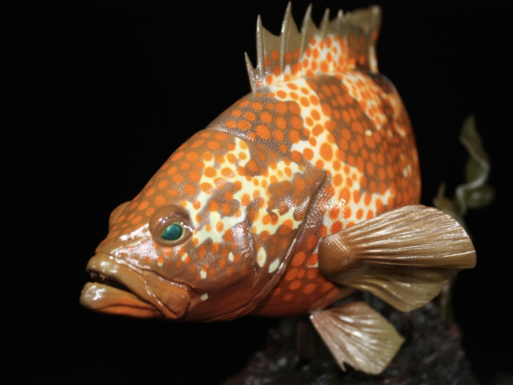 キジハタ フィギュア 魚寸30cm 【第10回日本彫刻コンクール入選作品】