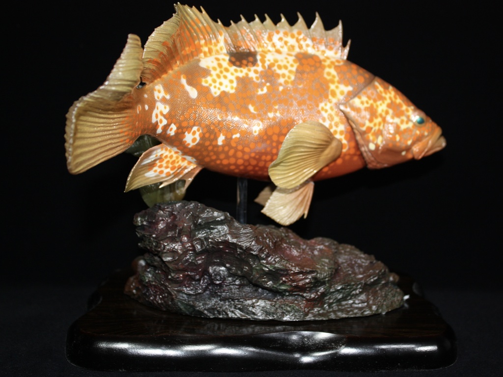 キジハタ フィギュア 魚寸30cm 【第10回日本彫刻コンクール入選作品】