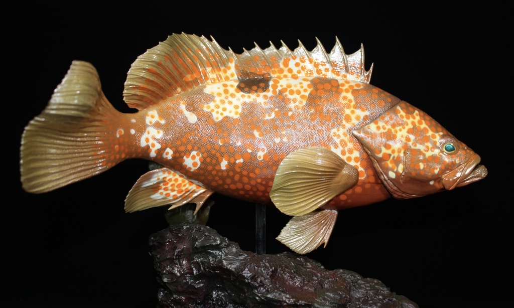 キジハタ フィギュア 魚寸30cm 【第10回日本彫刻コンクール入選作品】