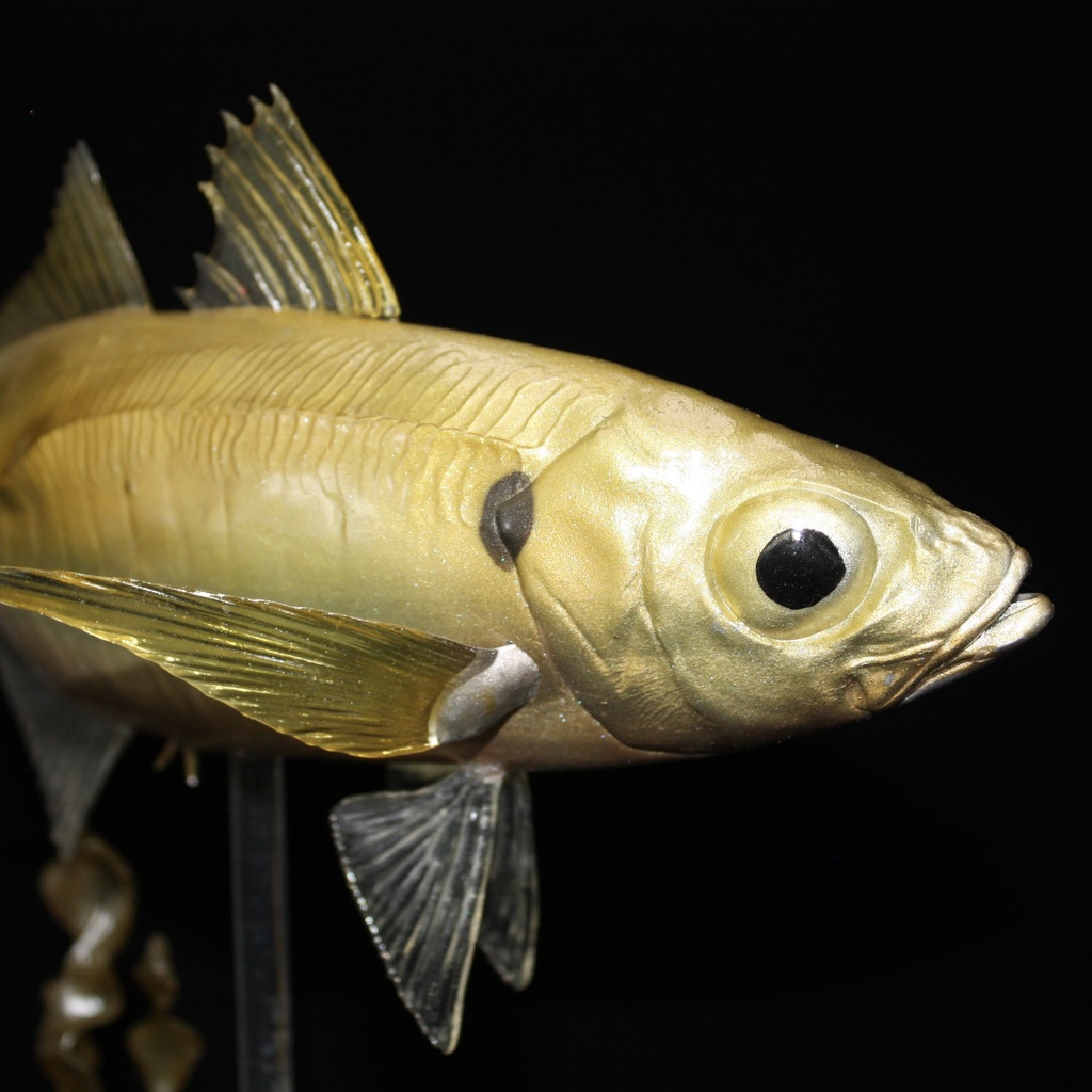 アジ　フィギュア(大) 魚寸25cm