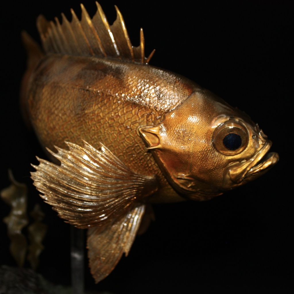 メバル(赤) フィギュア(大) 魚寸25cm 【県立美術館美術展　奨励賞受賞】