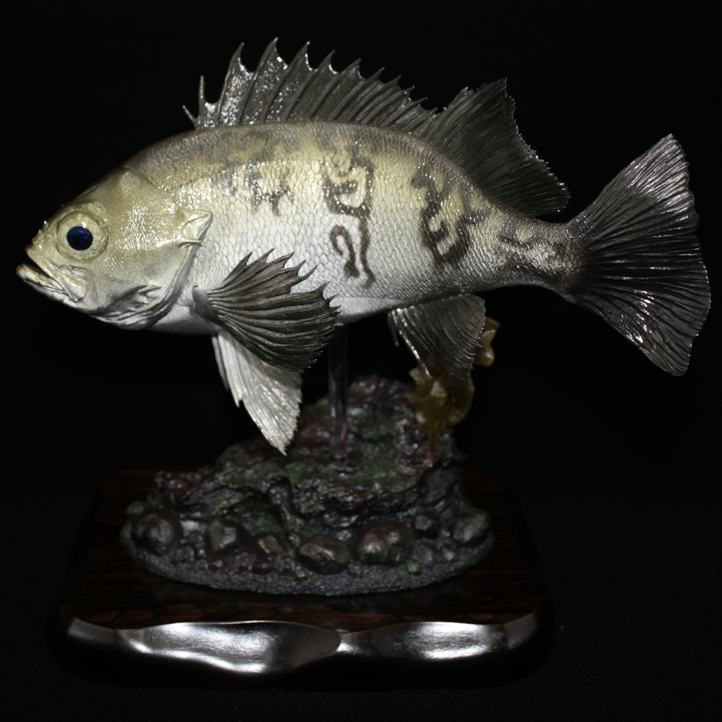 メバル(白) フィギュア(大) 魚寸25cm 【県立美術館美術展 奨励賞受賞】