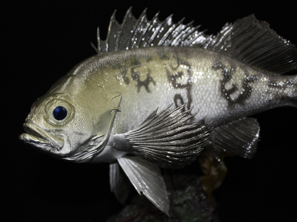 メバル(白) フィギュア(大) 魚寸25cm 【県立美術館美術展 奨励賞受賞】