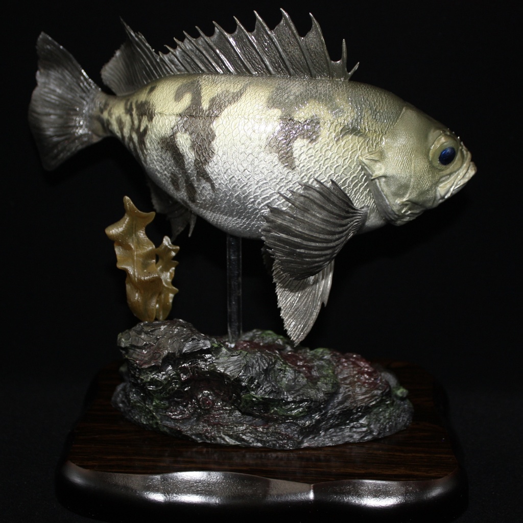 メバル(白) フィギュア(大) 魚寸25cm 【県立美術館美術展 奨励賞受賞】