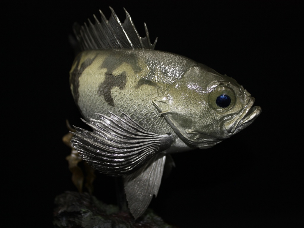 メバル(白) フィギュア(大) 魚寸25cm 【県立美術館美術展 奨励賞受賞】