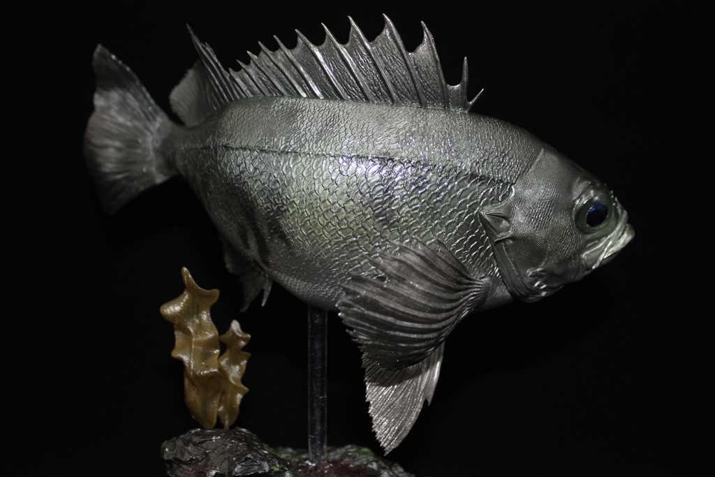 メバル(青) フィギュア(大) 魚寸25cm 【県立美術館美術展 奨励賞受賞】