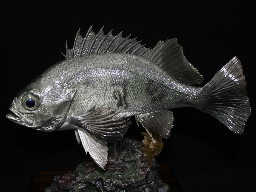 メバル(青) フィギュア(大) 魚寸25cm 【県立美術館美術展 奨励賞受賞】