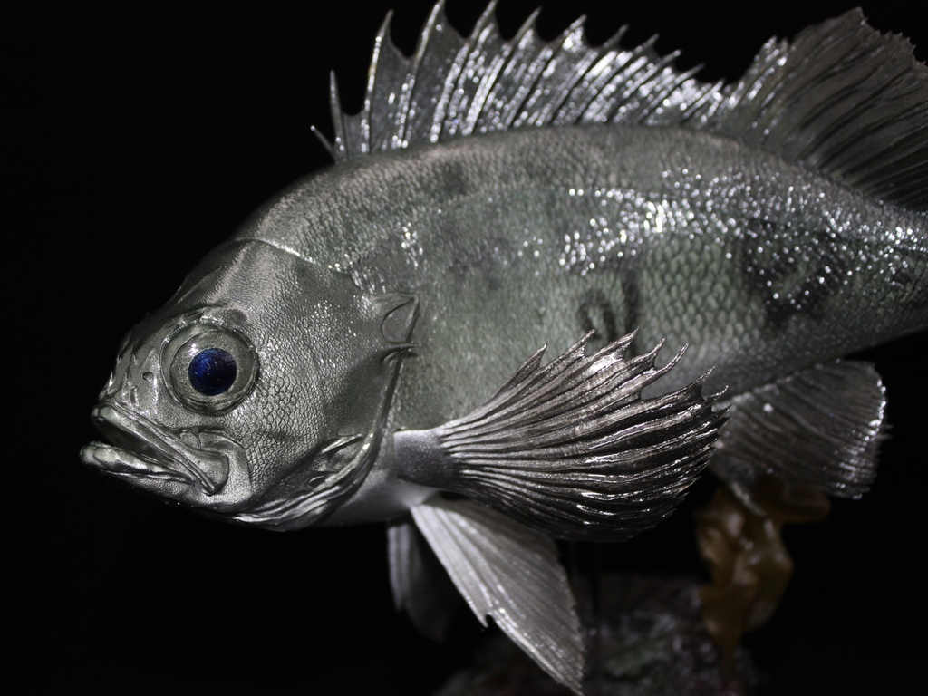 メバル(青) フィギュア(大) 魚寸25cm 【県立美術館美術展 奨励賞受賞】