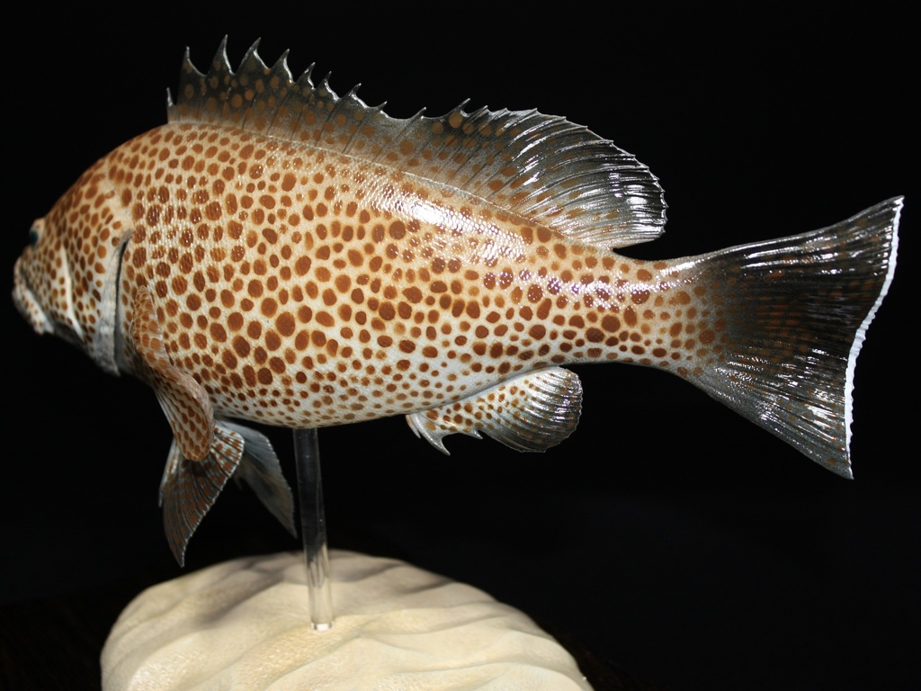 オオモンハタ フィギュア 魚寸30cm 【第10回日本彫刻コンクール入選作品】