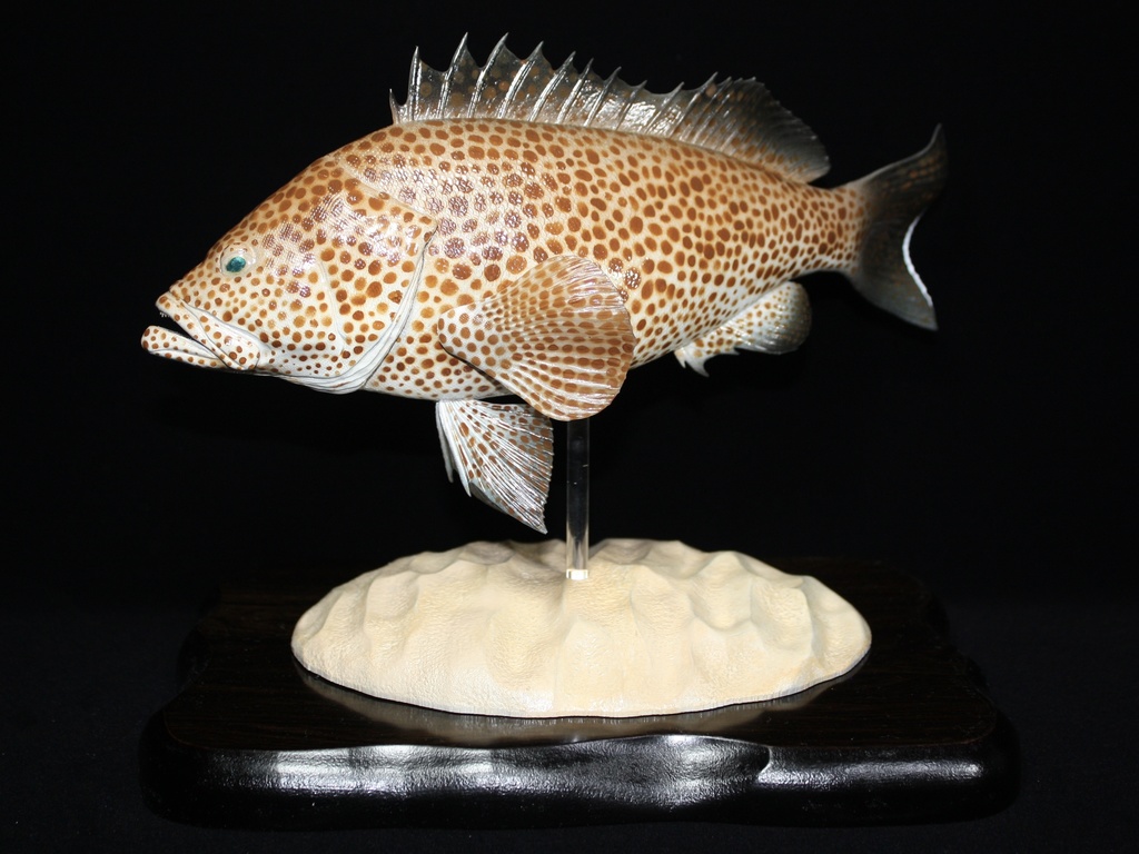 オオモンハタ フィギュア 魚寸30cm 【第10回日本彫刻コンクール入選作品】