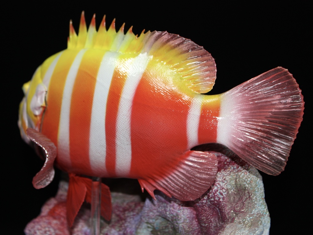 シマハタ フィギュア 魚寸25cm