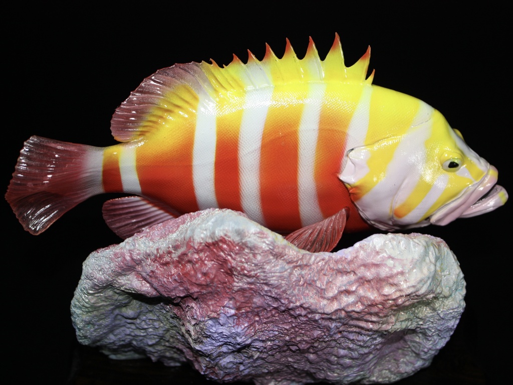 シマハタ フィギュア 魚寸25cm