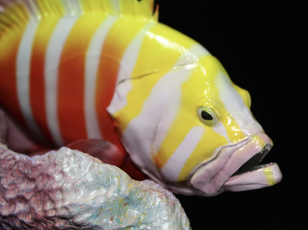 シマハタ フィギュア 魚寸25cm