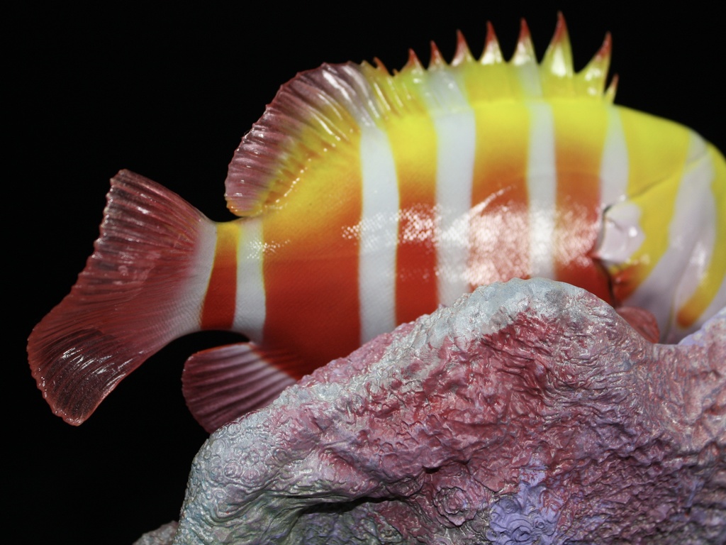 シマハタ フィギュア 魚寸25cm