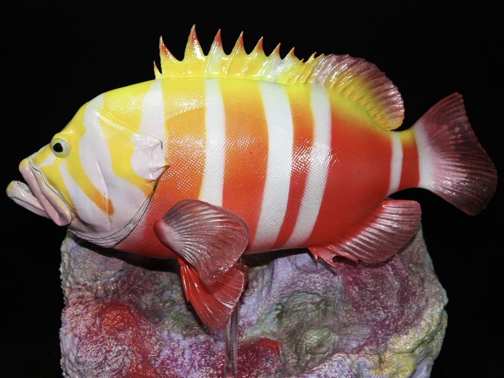 シマハタ フィギュア 魚寸25cm