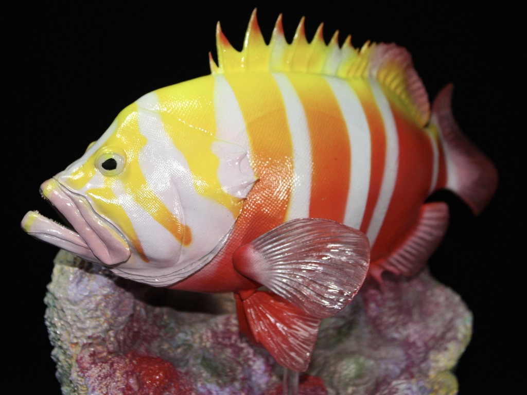 シマハタ フィギュア 魚寸25cm